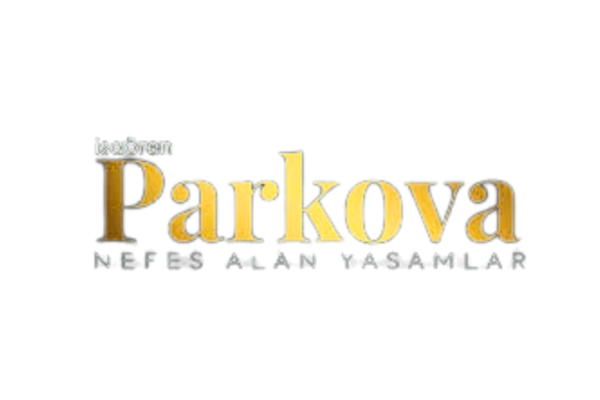Ziyaretçiler.png